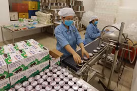 Large room for Vietnam’s dairy farming industry to flourish
