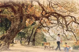 Hanoi among best places to go for fall: CNN