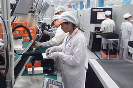 National programme pushes for innovation among enterprises