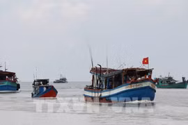 More efforts needed to remove EC fisheries warning