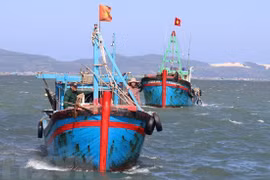 Vietnam maintains efforts to fight IUU fishing