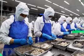 Vietnam moves to strongly integrate into int’l labour market