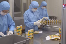 Large room for Vietnam to boost medicinal herbs exports to Japan
