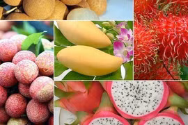 Fruit exports to bring home over 5 bln USD by 2025