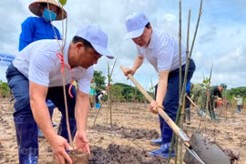 Transition from brown to green economy heals biodiversity: Minister