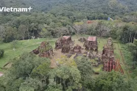 Discovering My Son Sanctuary in Quang Nam province