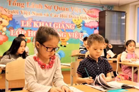 Mother tongue teaching for overseas Vietnamese proves effective