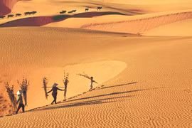 Sand dunes – magnet for tourists in Binh Thuan province