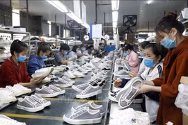 Garment-textile sector must go green to boost exports to EU: experts