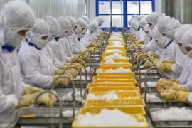‘New normal’ adaptation leads to positive forecast for Vietnamese economy in 2022: official 