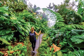 Localities accelerate digital transformation in tourism