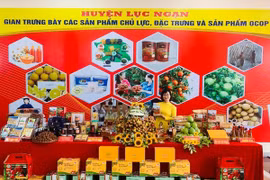 Bac Giang works hard to bring “thieu” litchi to more markets