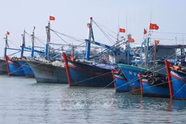 Vietnam makes continuous efforts to fight IUU fishing