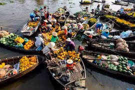 Master plan targets long-term prosperity for Mekong Delta 