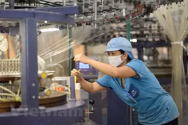 Garment-textile sector needs move up in supply chain: Vinatex Chairman