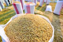 Tariff quotas for rice, dried tobacco imported from Cambodia announced
