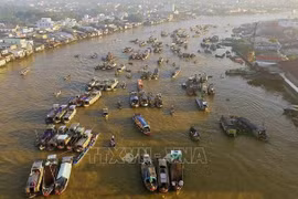 Development plan for Mekong Delta in 2021-2030 approved