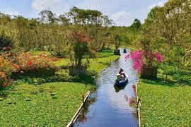 Tourism sector lacks workforce after COVID-19