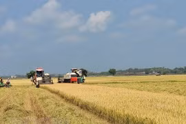 SBV Governor orders actions to prevent farm produce congestion due to capital shortage
