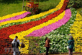 Da Lat Flower Festival kicks off