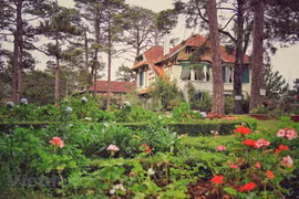 Da Lat top three in world’s best flower destinations 