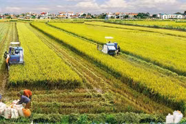 Agricultural sector ensures food security, exports