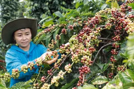 Sectors on course to surpass 2022 export goals