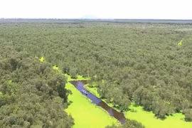 Vietnam in world's top 16 with richest biodiversity