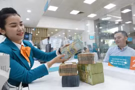 Credit growth reaches 4.45% as of June 24. (Photo: VNA)