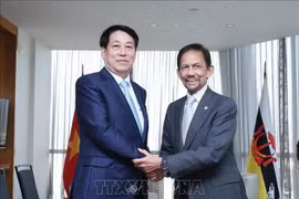State President Luong Cuong (L) and Sultan of Brunei Darussalam Hassanal Bolkiah (Photo: VNA)