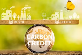 The proposal aims to protect the environment and promote sustainable development in line with the global trend of using tax policies to incentivise environmentally friendly practices. (Photo courtesy of pace.edu.vn)