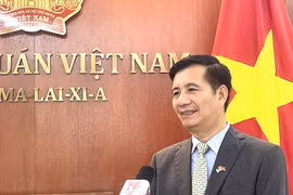Vietnamese Ambassador to Malaysia Dinh Ngoc Linh (Photo: VNA)