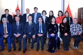 At the meeting between Deputy PM Tran Hong Ha (third from left) and representatives of the Vietnamese community in Denmark. (Photo: VGP)