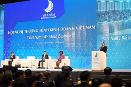 Vietnam Business Summit held in Da Nang city