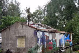 Nationwide campaign aids typhoon victims