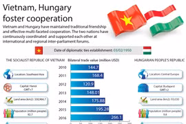 Vietnam, Hungary foster cooperation