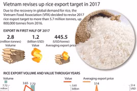 Vietnam revises up rice export target in 2017