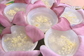 Lotus seed and longan sweet soup – countryside’s pure treat