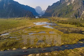 Poetic Van Long Lagoon in Ninh Binh province