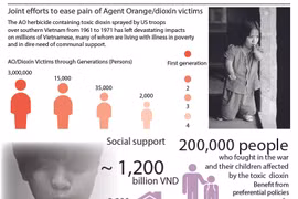 Joint efforts to ease pain of Agent Orange/dioxin victims
