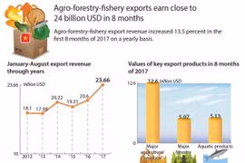 Agro-forestry-fishery exports earn close to 24 billion USD in 8 months