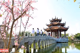 Ancient pagoda in Hung Yen