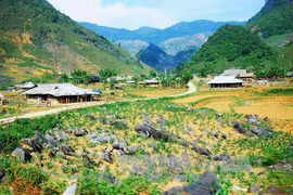 Tua Chua Karst Plateau