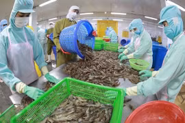 Seafood export takes larger bite out of foreign markets