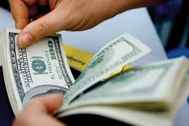 Greenback plunges over stabilised forex market