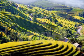 Hoang Su Phi cultural week opens in Ha Giang 