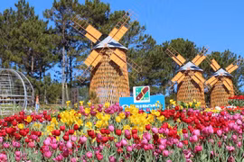 Antique items portraying old Da Lat on display