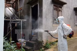 PM issues directions on stemming dengue fever outbreak