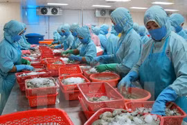 More Vietnamese goods to break into major foreign markets