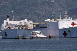 US Navy vessels arrive in Da Nang for Pacific Partnership